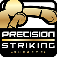 Precision Boxing Coach - Supreme